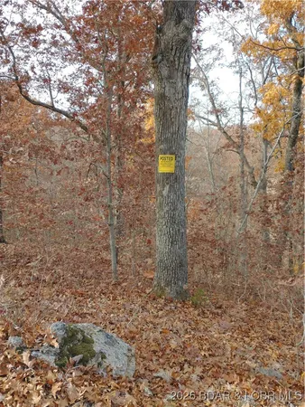 $49,900 | 5.1-acre Lot On 5.1-acre Road, Camdenton, MO 65020