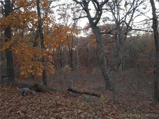 $57,900 | 5.1-acre Lot On 5.1-acre Road, Camdenton, MO 65020