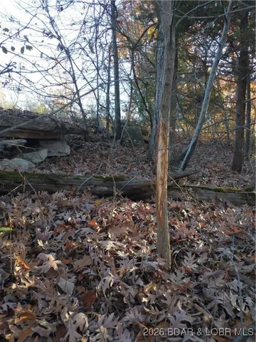 $57,900 | 5.1-acre Lot On 5.1-acre Road, Camdenton, MO 65020