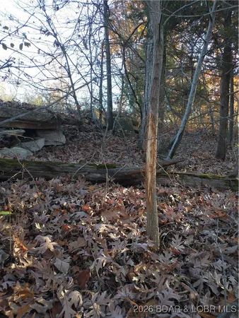 $49,900 | 5.1-acre Lot On 5.1-acre Road, Camdenton, MO 65020