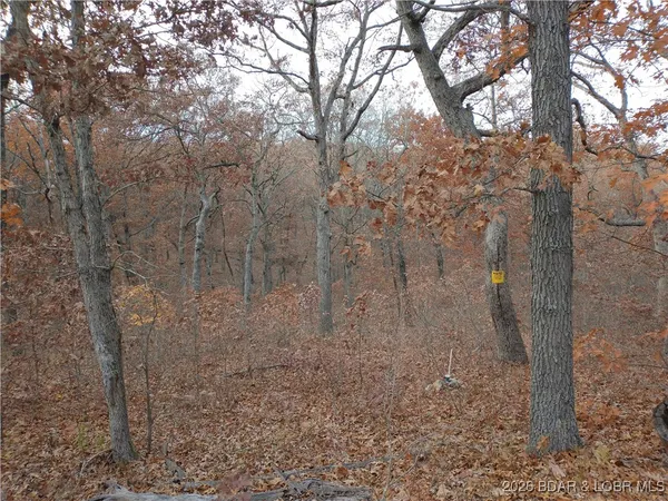$49,900 | 5.1-acre Lot On 5.1-acre Road, Camdenton, MO 65020