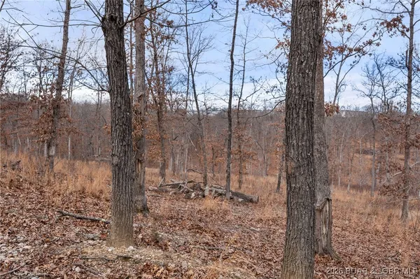 $49,900 | 5.1-acre Lot On 5.1-acre Road, Camdenton, MO 65020