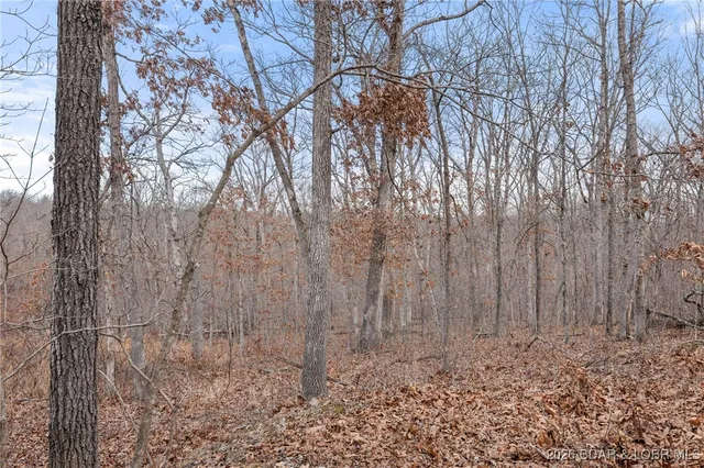 $57,900 | 5.1-acre Lot On 5.1-acre Road, Camdenton, MO 65020