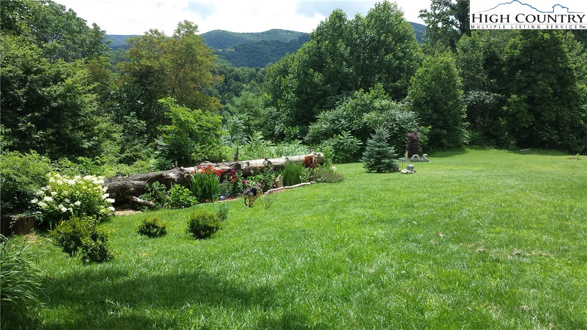 1339 Hopewell Church Road Boone, NC 28607 - Photo 11 of 35