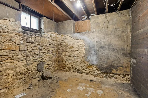 a view of a backyard with a tree