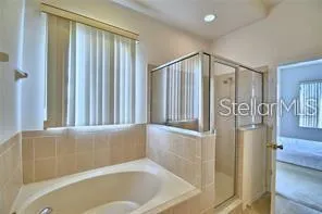 a bathroom with a bathtub and a shower