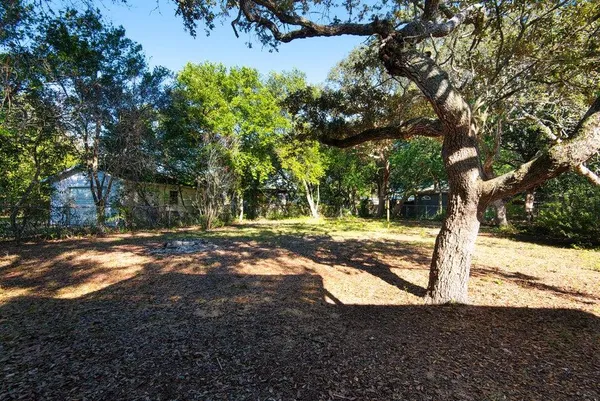 a view of a yard with plants and trees