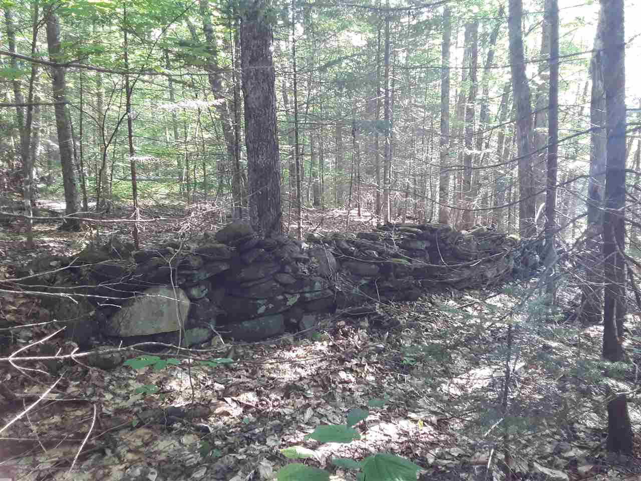 25 Ramsey Road Wheelock, VT 05851 - Photo 2 of 5 Gallery Image 2