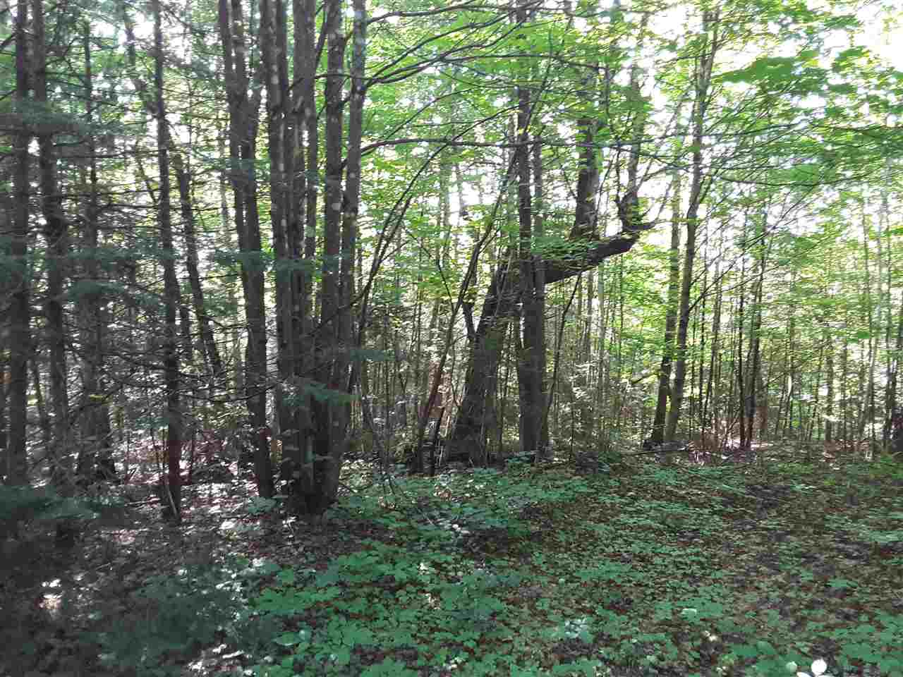 25 Ramsey Road Wheelock, VT 05851 - Photo 5 of 5 Gallery Image 5