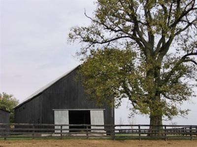 1831 Paynes Depot Road Georgetown, KY 40324 - Photo 5 of 7 Photo 5
