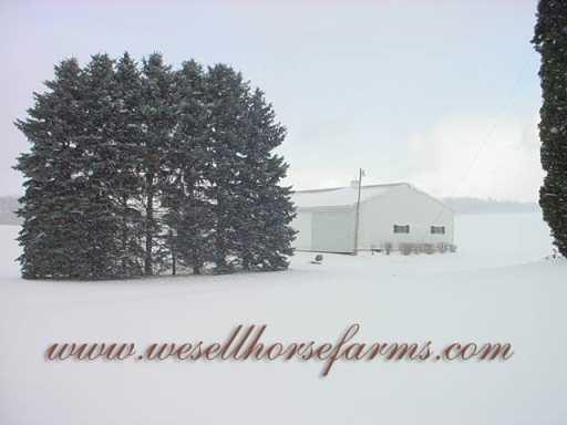 713 Franklin Road Mercer, PA 16137 - Photo 3 of 8 Other.