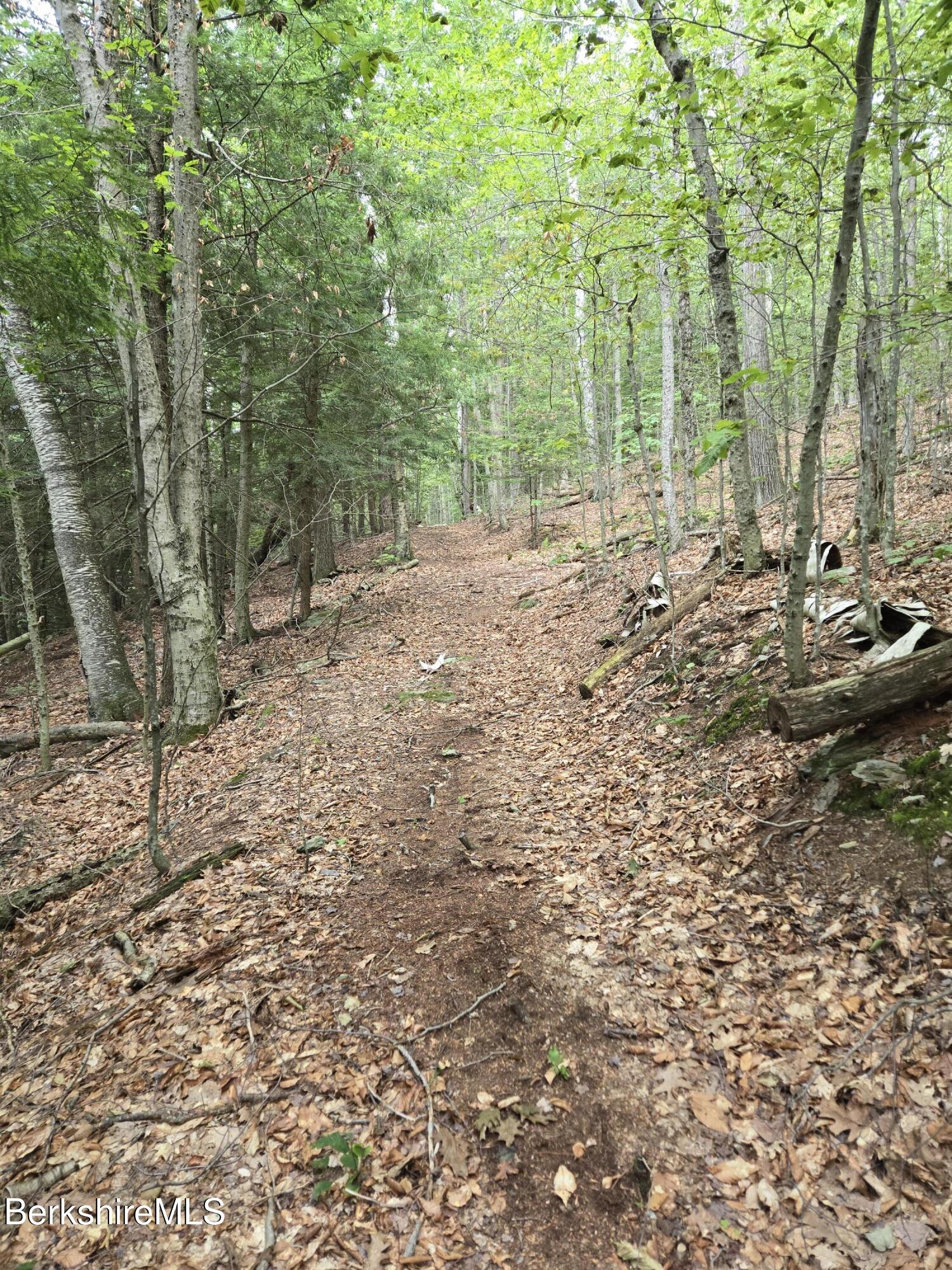 0 Monroe Road Drury, MA 01343 - Photo 4 of 17 1000021820