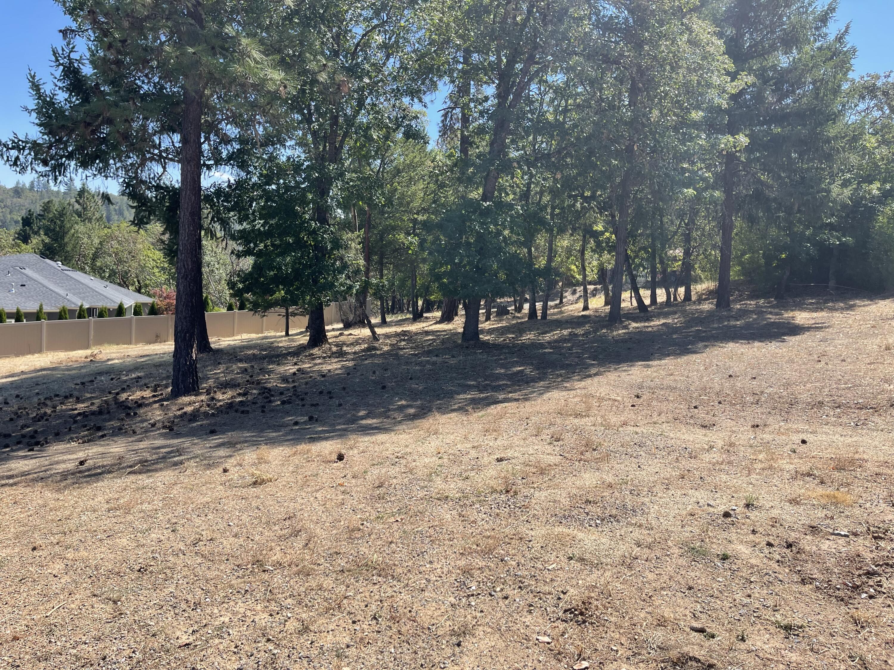 955 Granite Ridge Circle Jacksonville, OR 97530 - Photo 16 of 20 image00005