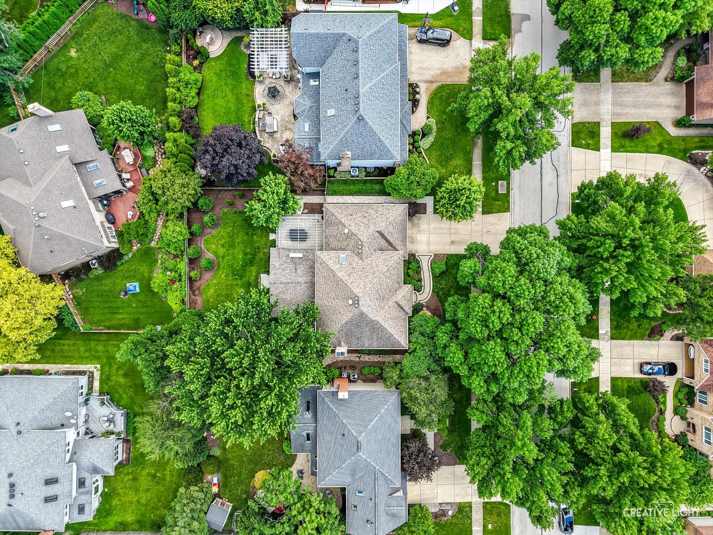 1644 Riparian Drive Naperville, IL 60565 - Photo 42 of 66
