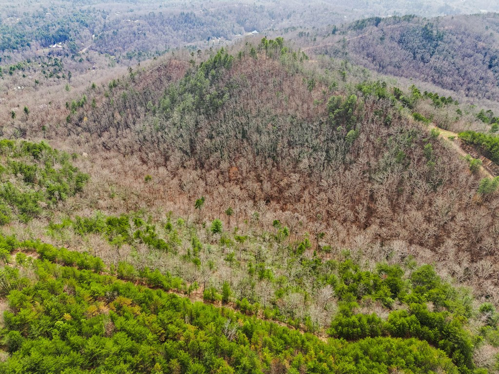 13-acres American Eagle Road Murphy, NC 28906 - Photo 12 of 17