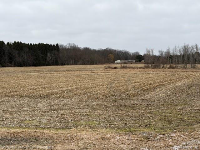 Vl North Branch Road North Branch, MI 48461 - Photo 5 of 5