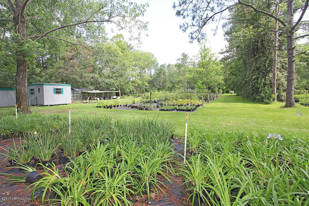 3098 I Pacetti Road St. Augustine, FL 32092 - Photo 12 of 21 a view of a big yard with plants and large trees