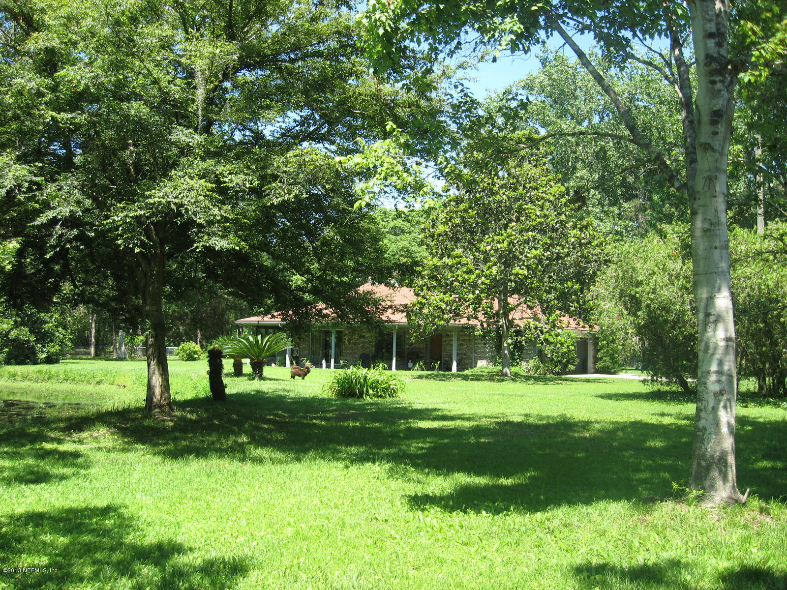 3098 I Pacetti Road St. Augustine, FL 32092 - Photo 16 of 21 a view of a park with trees and grass