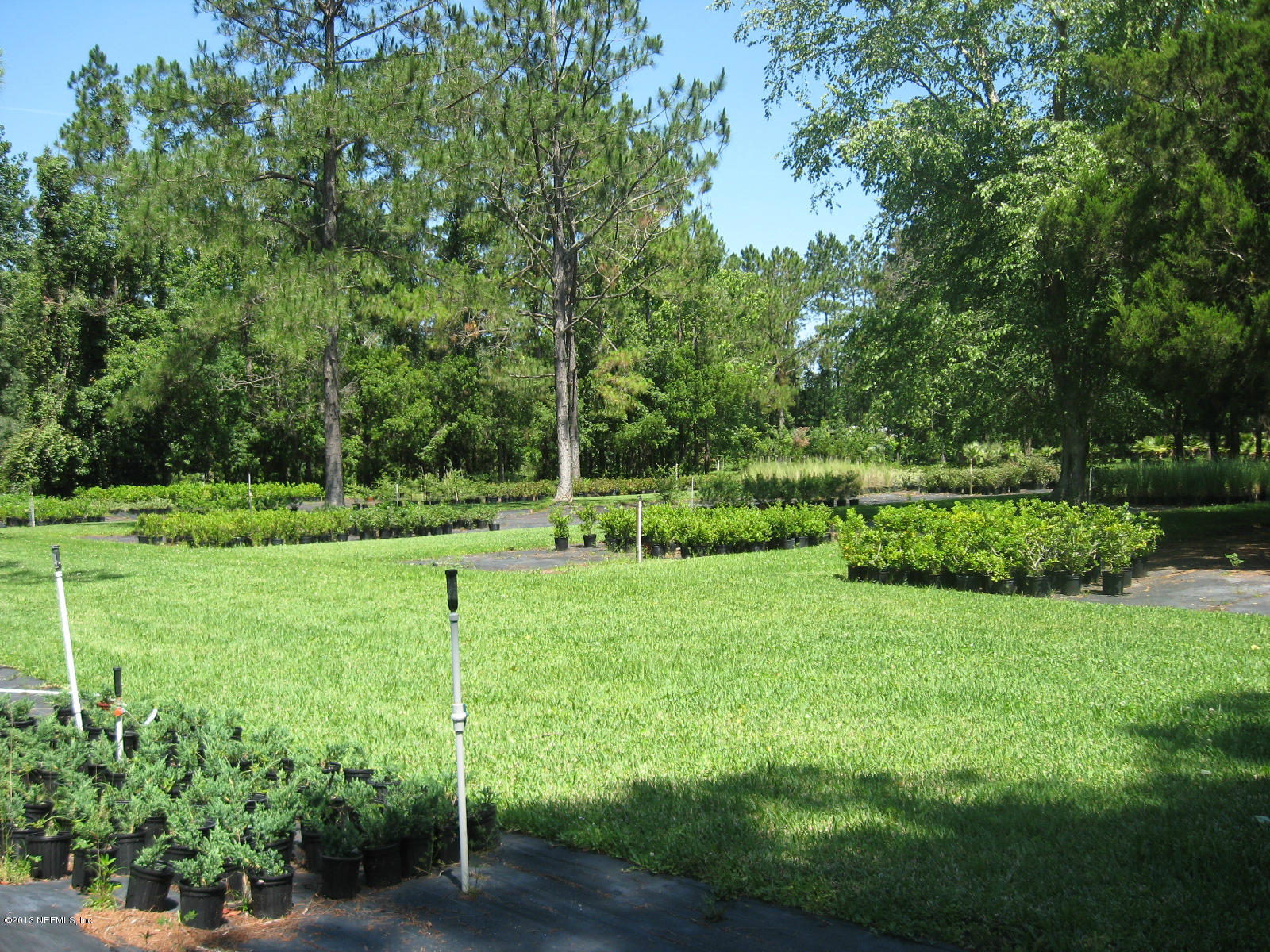 3098 I Pacetti Road St. Augustine, FL 32092 - Photo 6 of 21 a view of a park with a tree