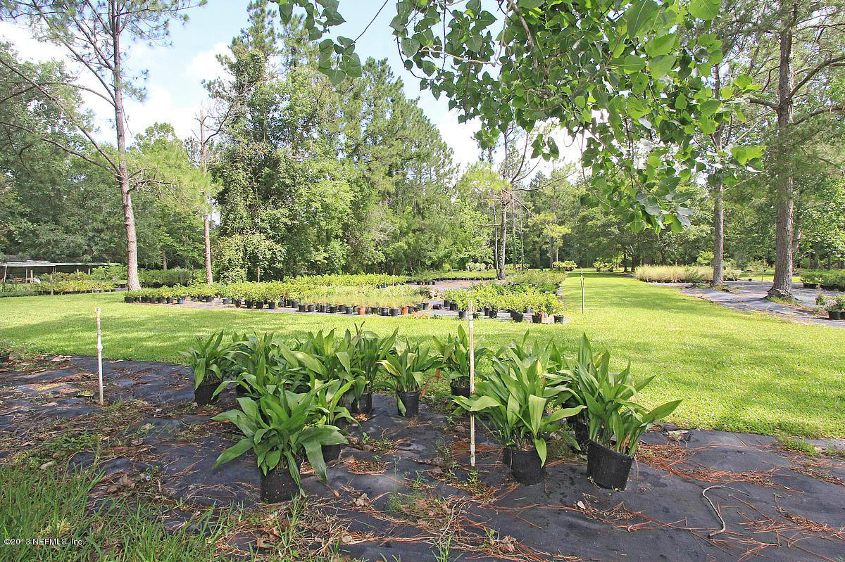 3098 I Pacetti Road St. Augustine, FL 32092 - Photo 9 of 21 a view of a park with plants and trees