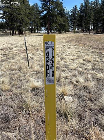 688 High Pasture Road Florissant, CO 80816 - Photo 16 of 18 Natural gas available