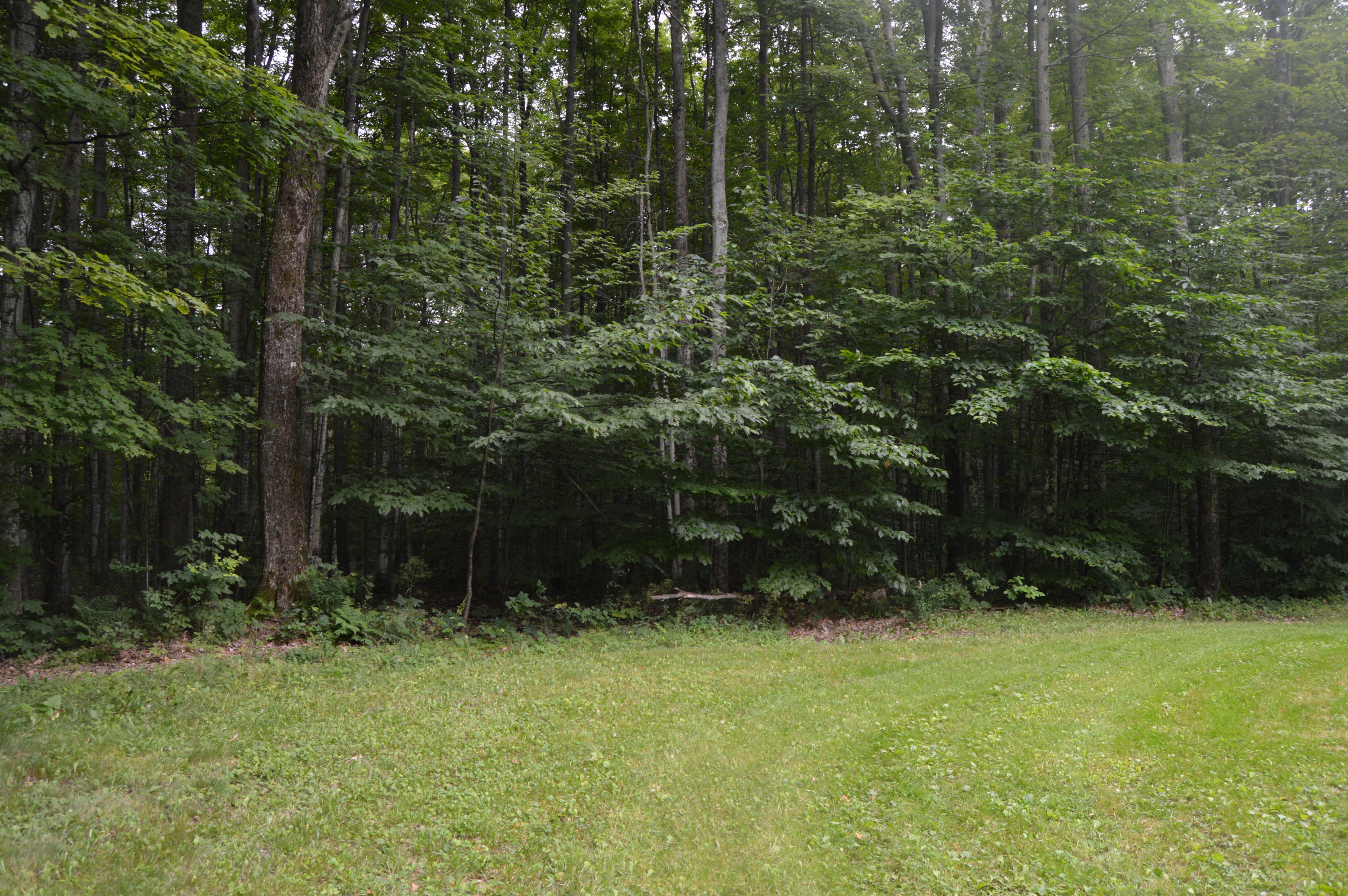 2910 Munger Road Carp Lake, MI 49718 - Photo 40 of 43 Gallery Image 40