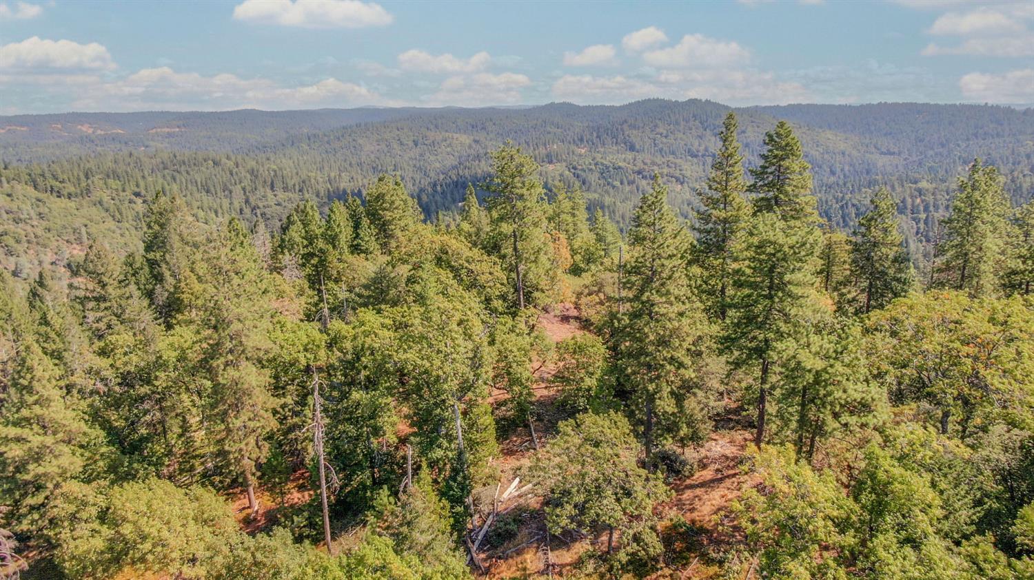 0 Old Giannini Ranch Road Volcano, CA 95689 - Photo 12 of 30 a view of a city with lush green forest