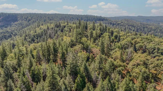 a view of a dry yard with wooden floor and fence