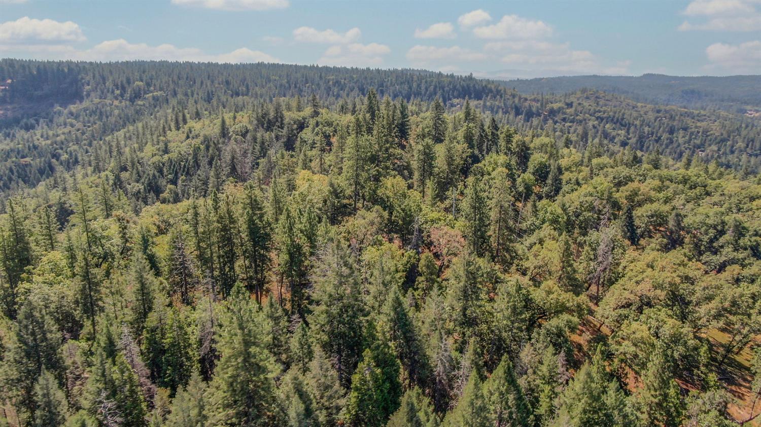 0 Old Giannini Ranch Road Volcano, CA 95689 - Photo 14 of 30 a view of a city with lush green forest