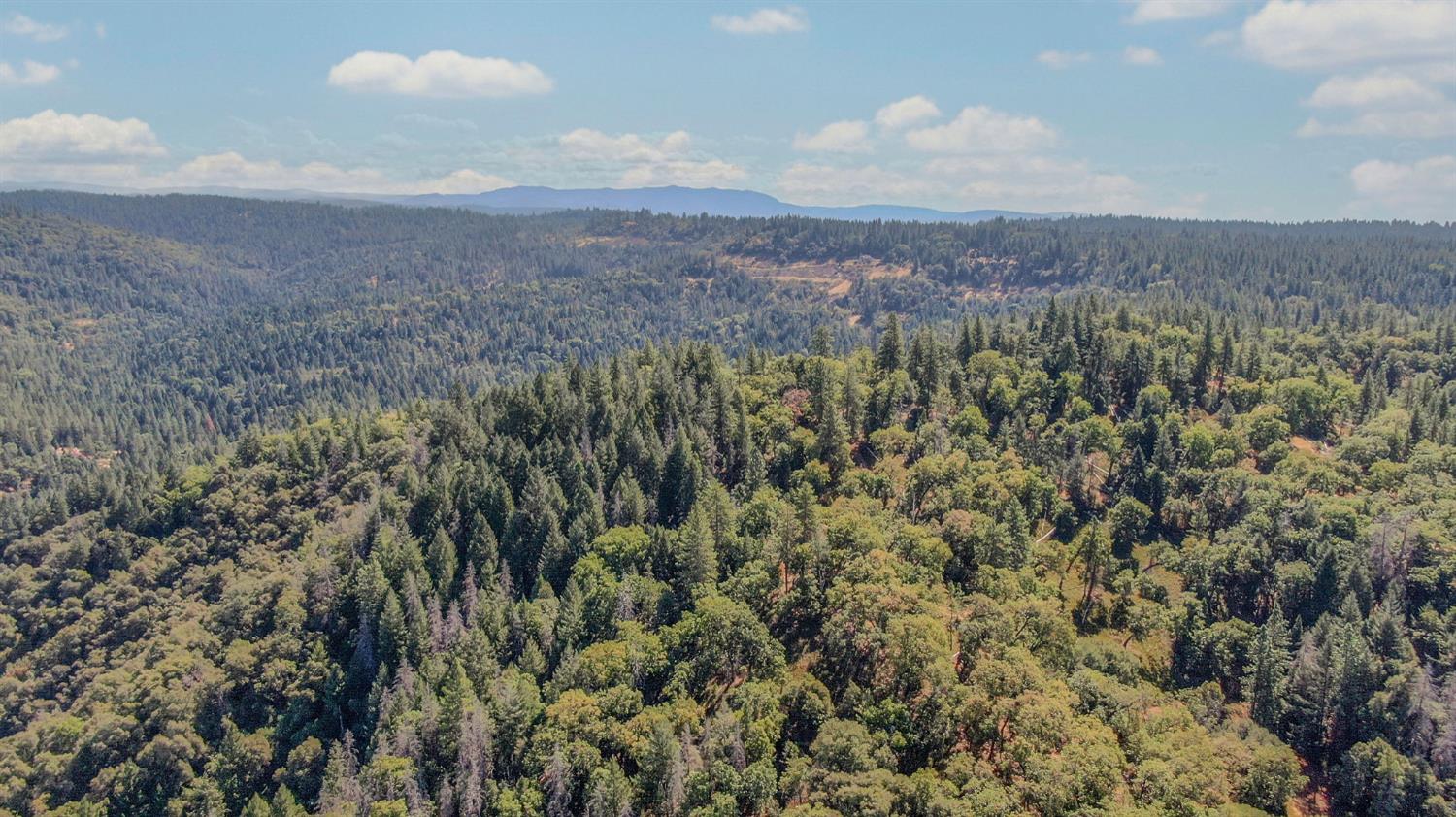 0 Old Giannini Ranch Road Volcano, CA 95689 - Photo 15 of 30 a view of a bunch of trees in a field