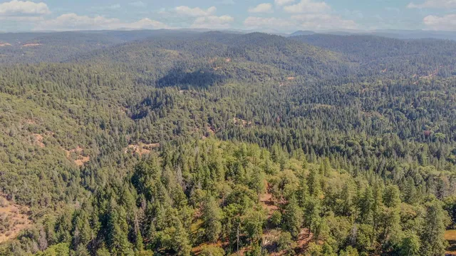 a view of a lake in middle of the forest