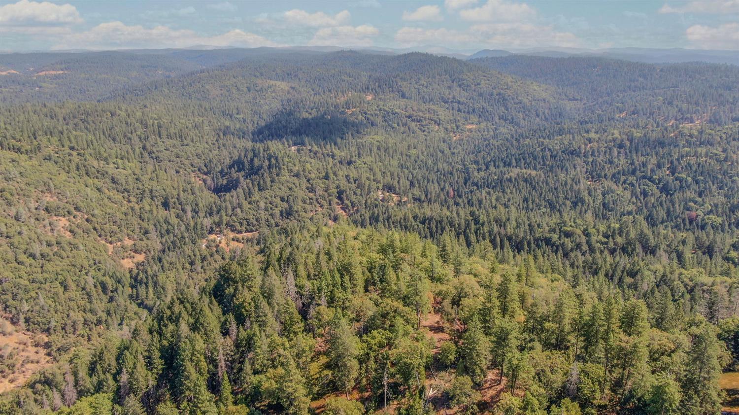 0 Old Giannini Ranch Road Volcano, CA 95689 - Photo 16 of 30 a view of a dry yard with wooden floor and fence