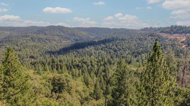 a view of a lush green field