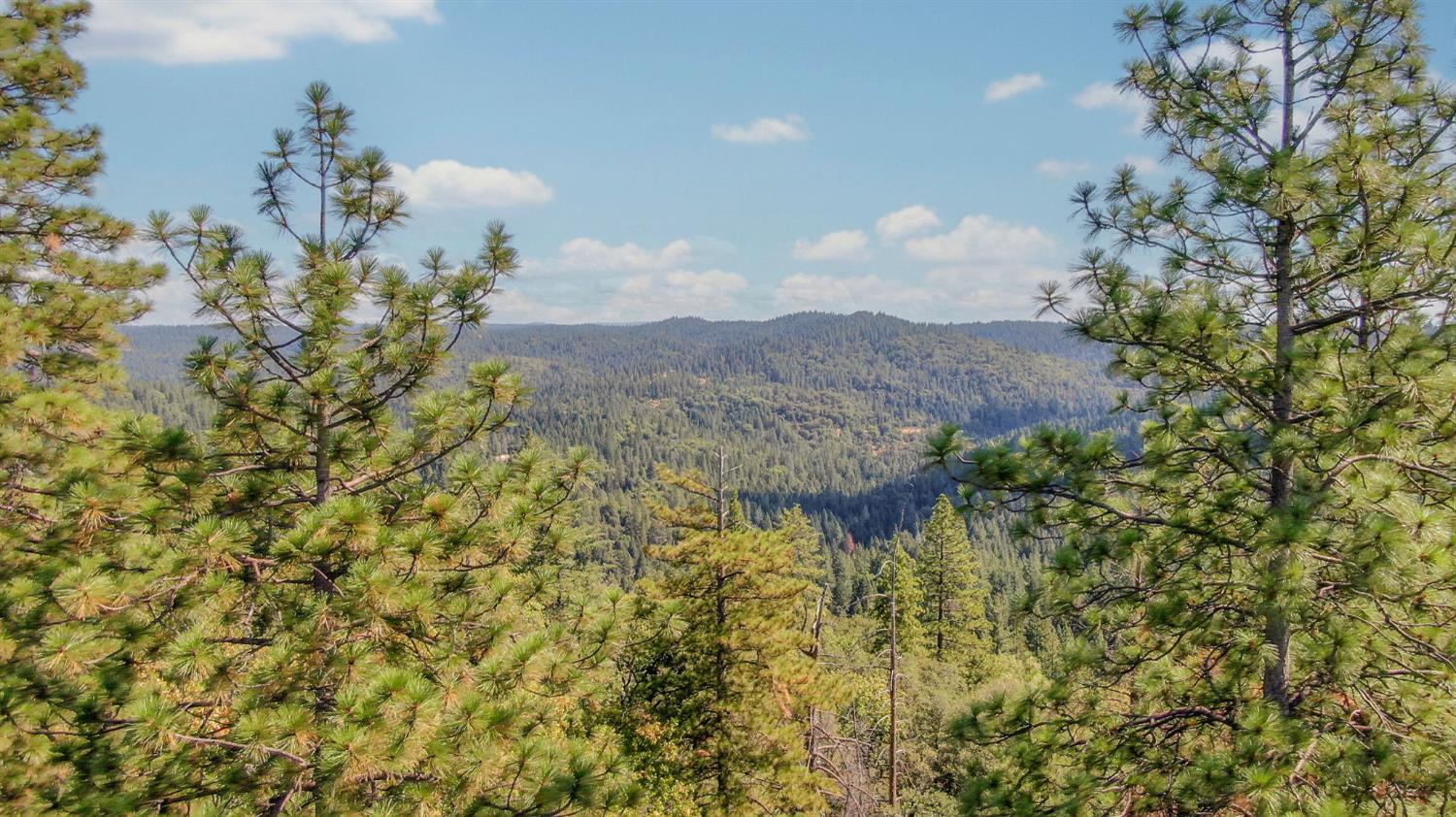 0 Old Giannini Ranch Road Volcano, CA 95689 - Photo 18 of 30 a view of a lake in middle of the forest