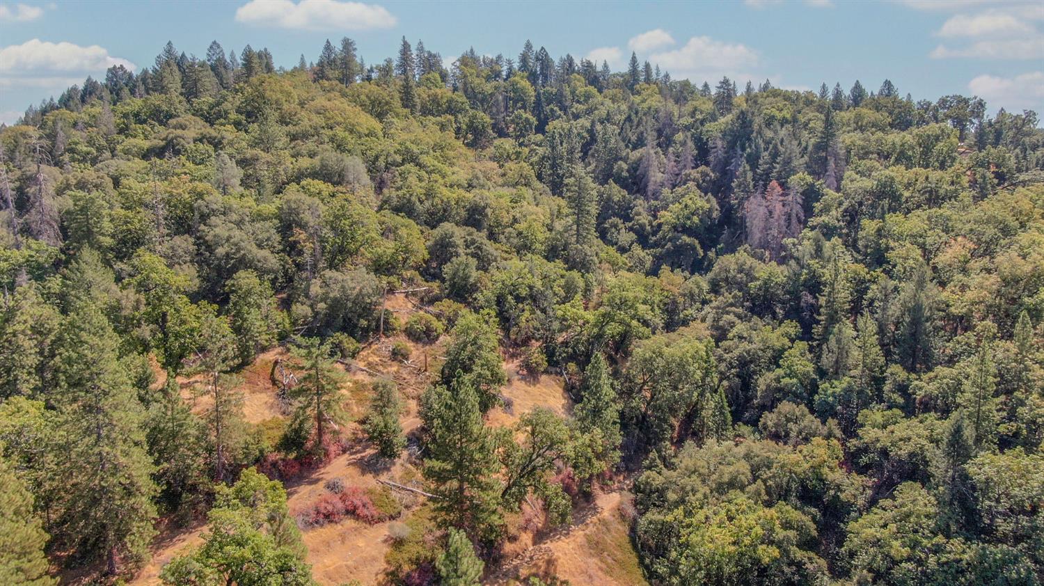 0 Old Giannini Ranch Road Volcano, CA 95689 - Photo 20 of 30