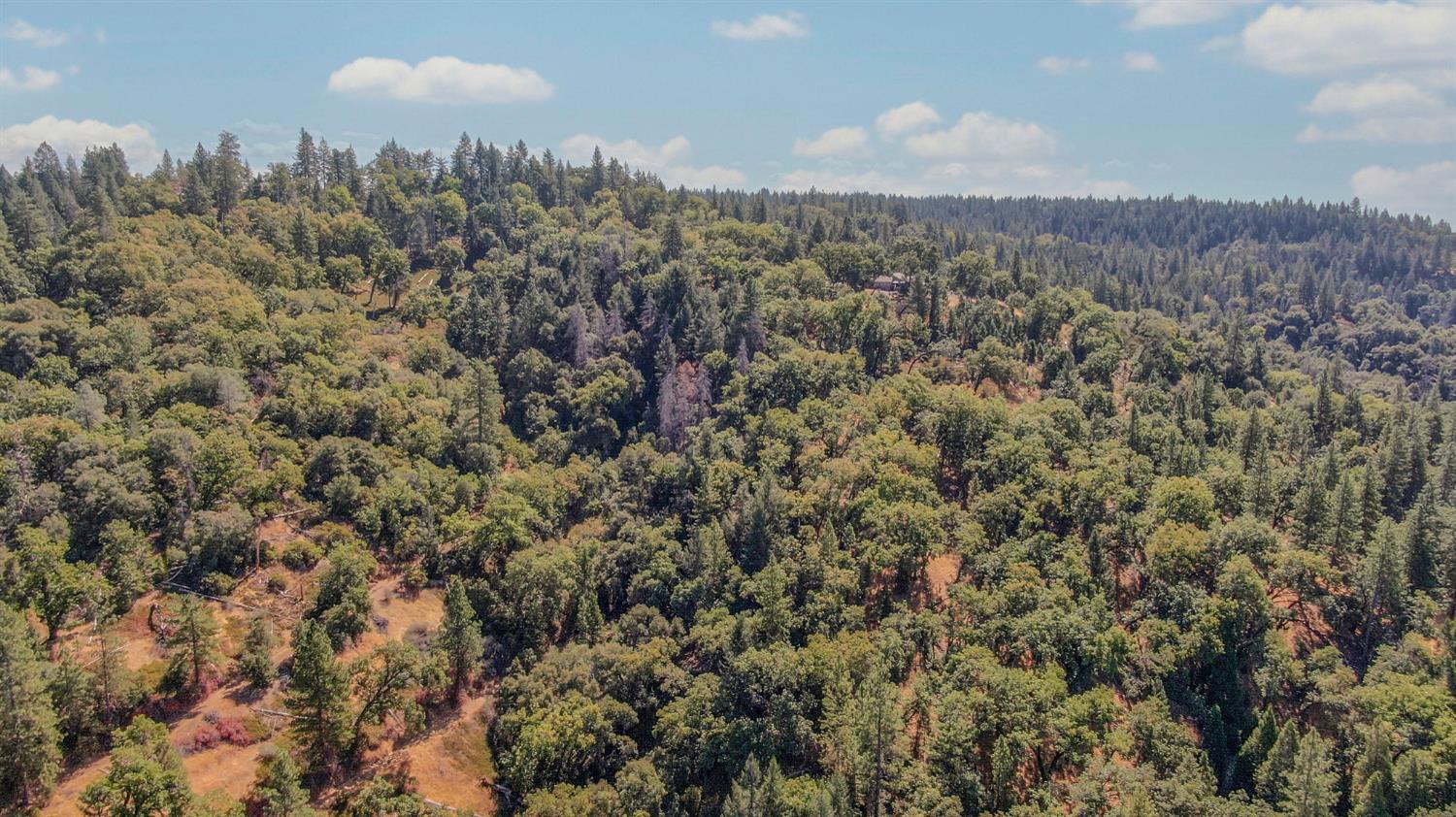 0 Old Giannini Ranch Road Volcano, CA 95689 - Photo 21 of 30 a view of a city