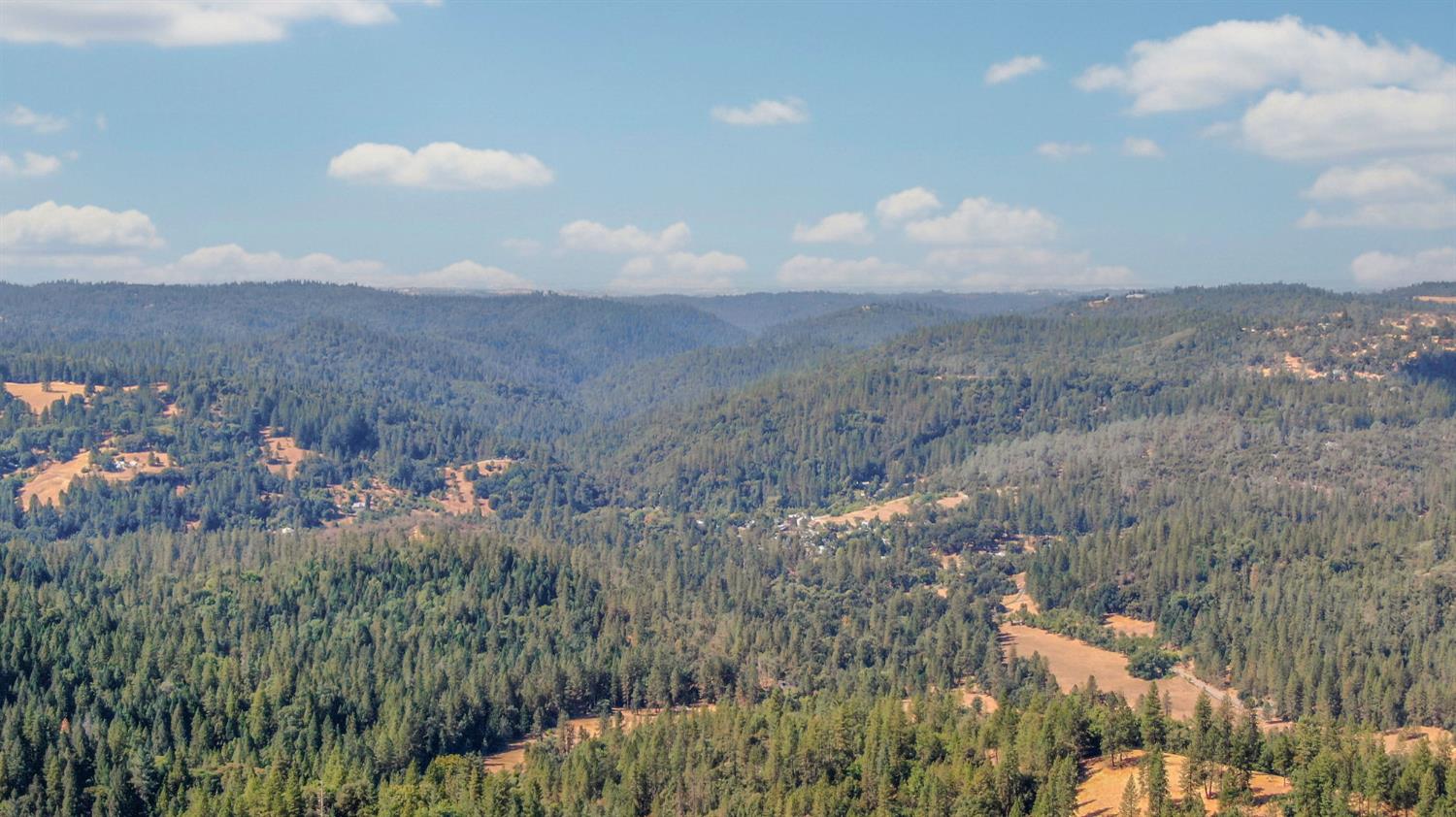 0 Old Giannini Ranch Road Volcano, CA 95689 - Photo 25 of 30 a view of a bunch of trees in a field