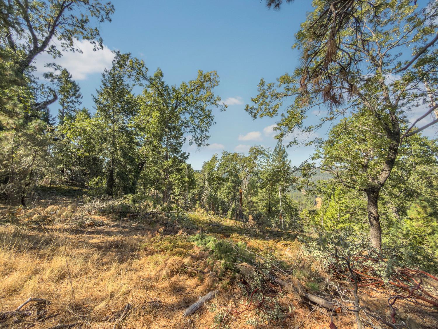0 Old Giannini Ranch Road Volcano, CA 95689 - Photo 6 of 30