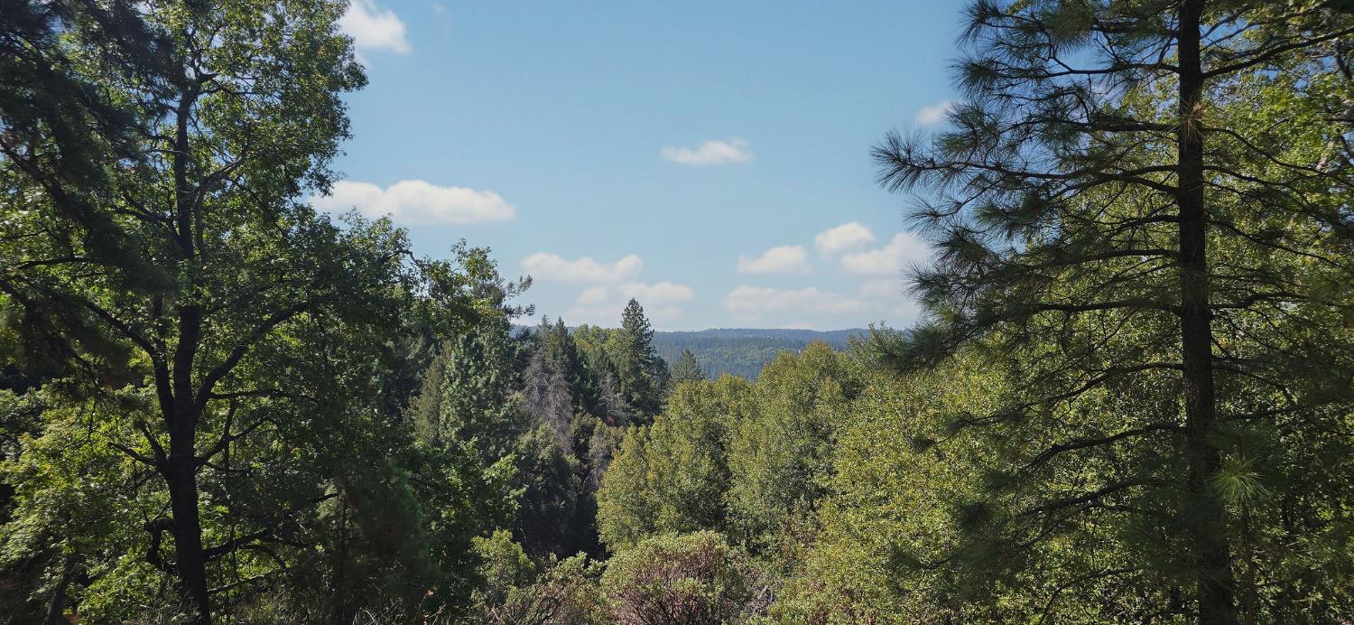 0 Old Giannini Ranch Road Volcano, CA 95689 - Photo 7 of 30 a view of a bunch of trees