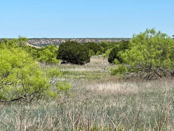 a view of a green field with lots of bushes
