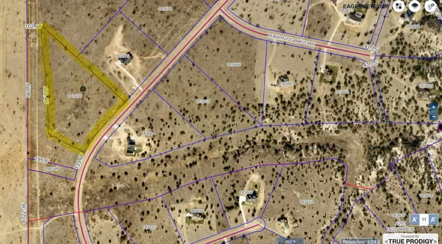 a view of a tree in a yard