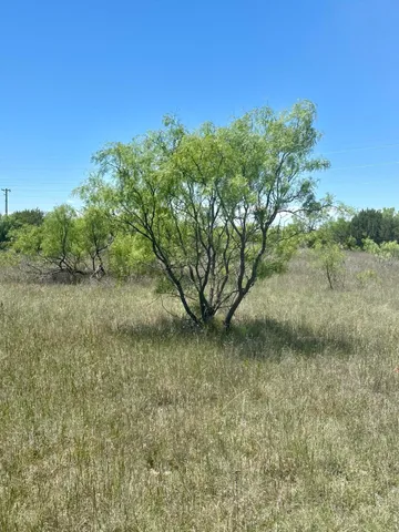 a view of a lush green space with sea
