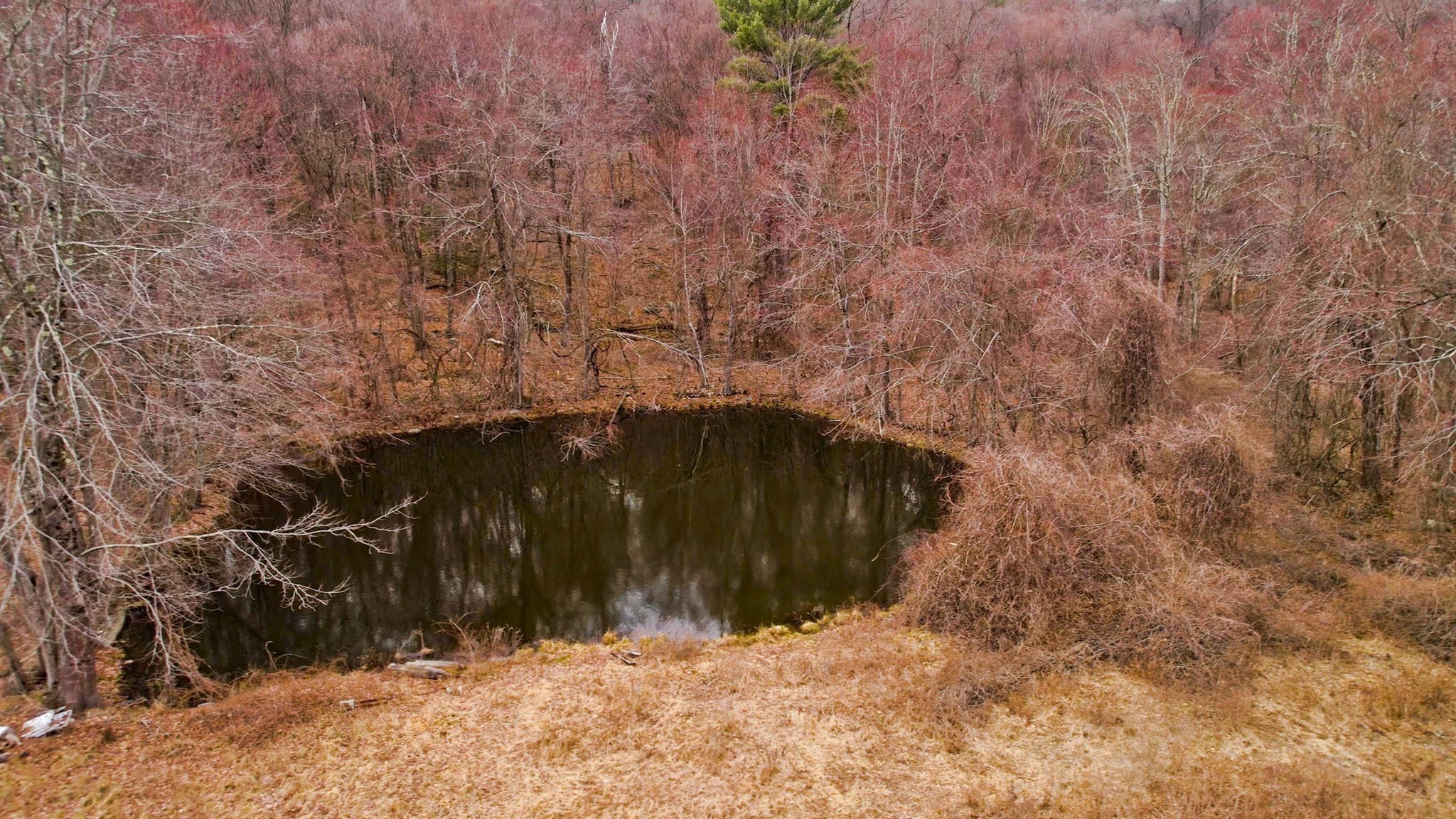 182 Old Stage Road Hatfield, MA 01088 - Photo 11 of 11 Gallery Image 11