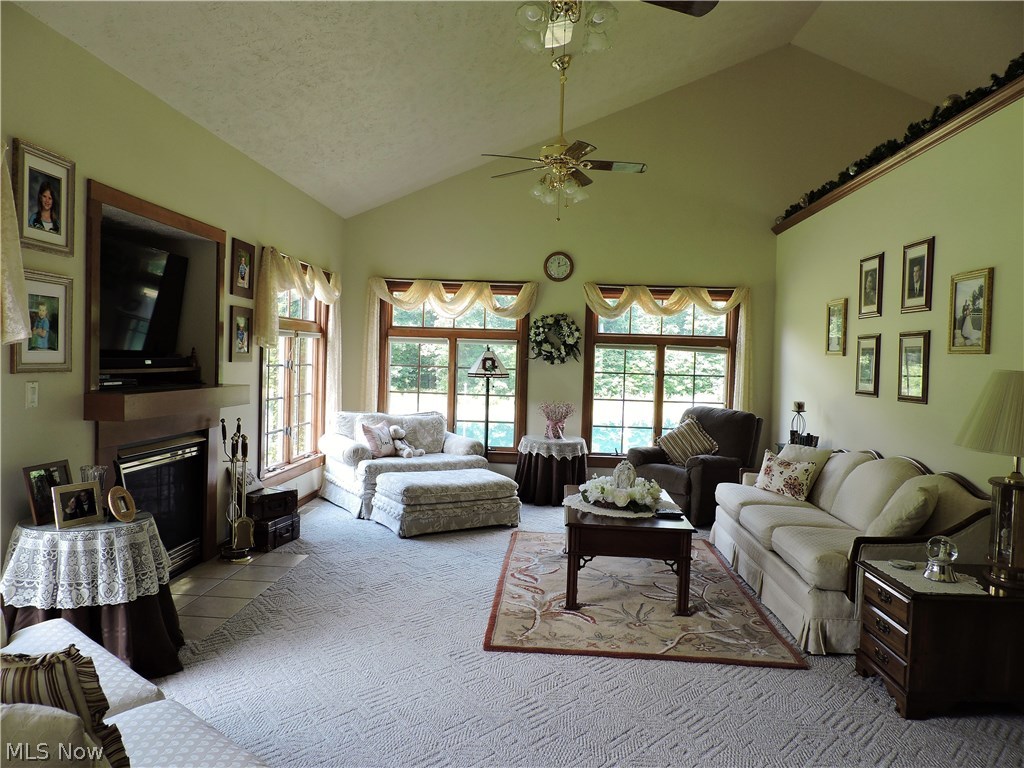 6250 Fenn Road Medina, OH 44256 - Photo 2 of 32 Great Room features vaulted ceilings, a gas log fireplace and tons of windows for natural light & beautiful views of the pond