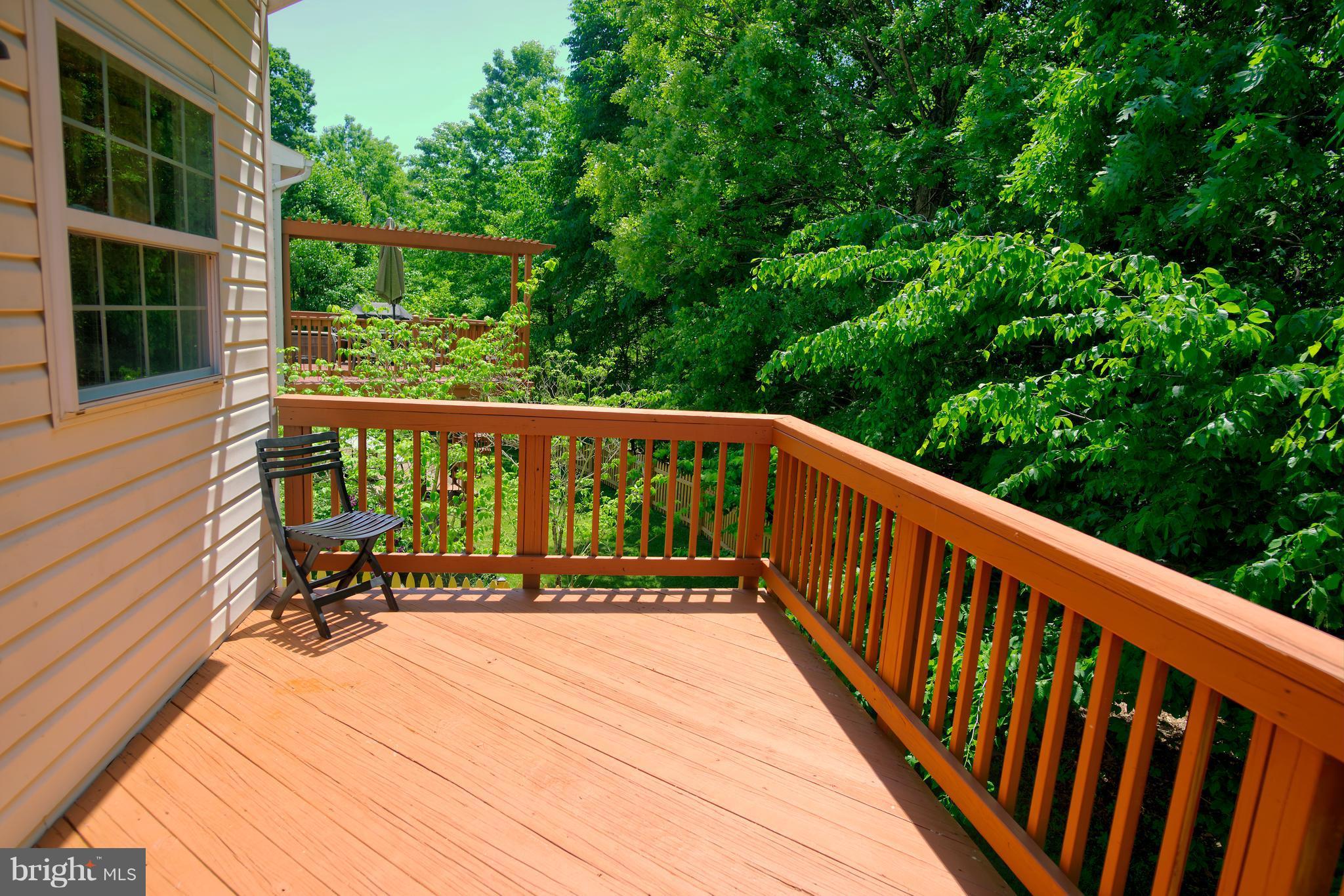 3225 Orient Fishtail Road Laurel, MD 20724 - Photo 19 of 19 Exterior (Rear)