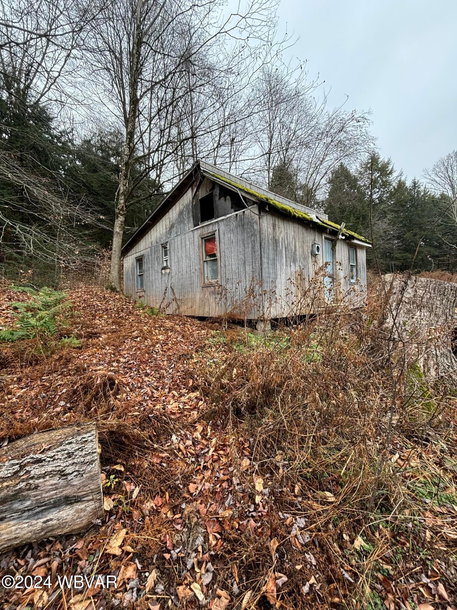 1728 Cogan House Road Trout Run, PA 17771 - Photo 7 of 11 rustic
