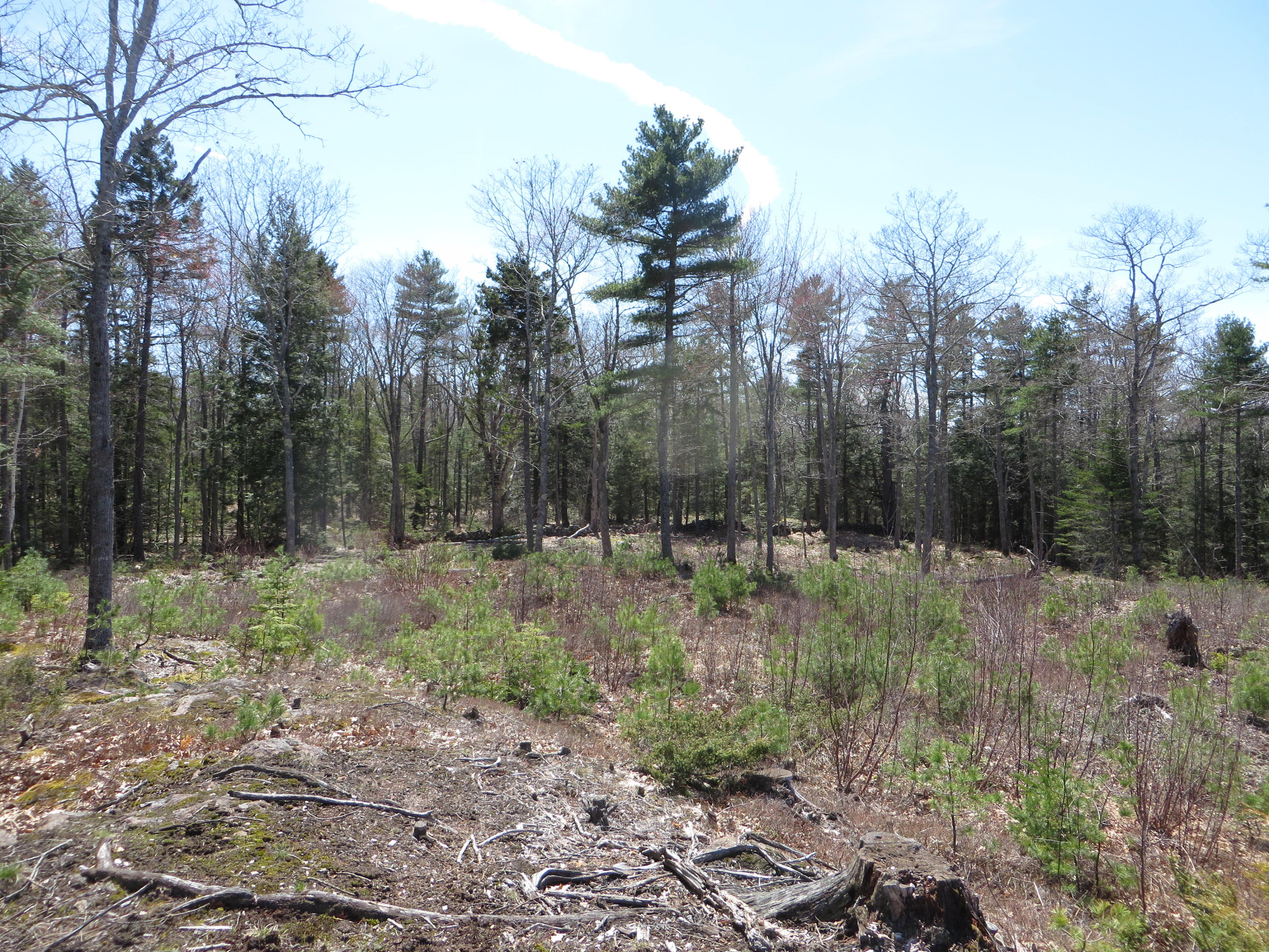 Lot57-10 Winterberry Road West Bath, ME 04530 - Photo 2 of 24 0