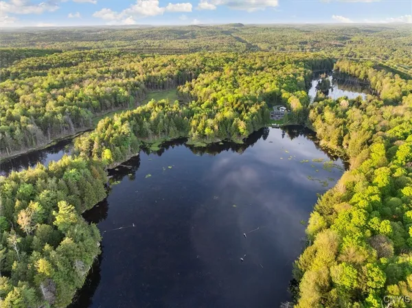 $995,000 | 8623 Powerline Drive, Diana, NY 13648