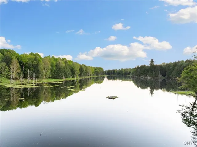 $995,000 | 8623 Powerline Drive, Diana, NY 13648