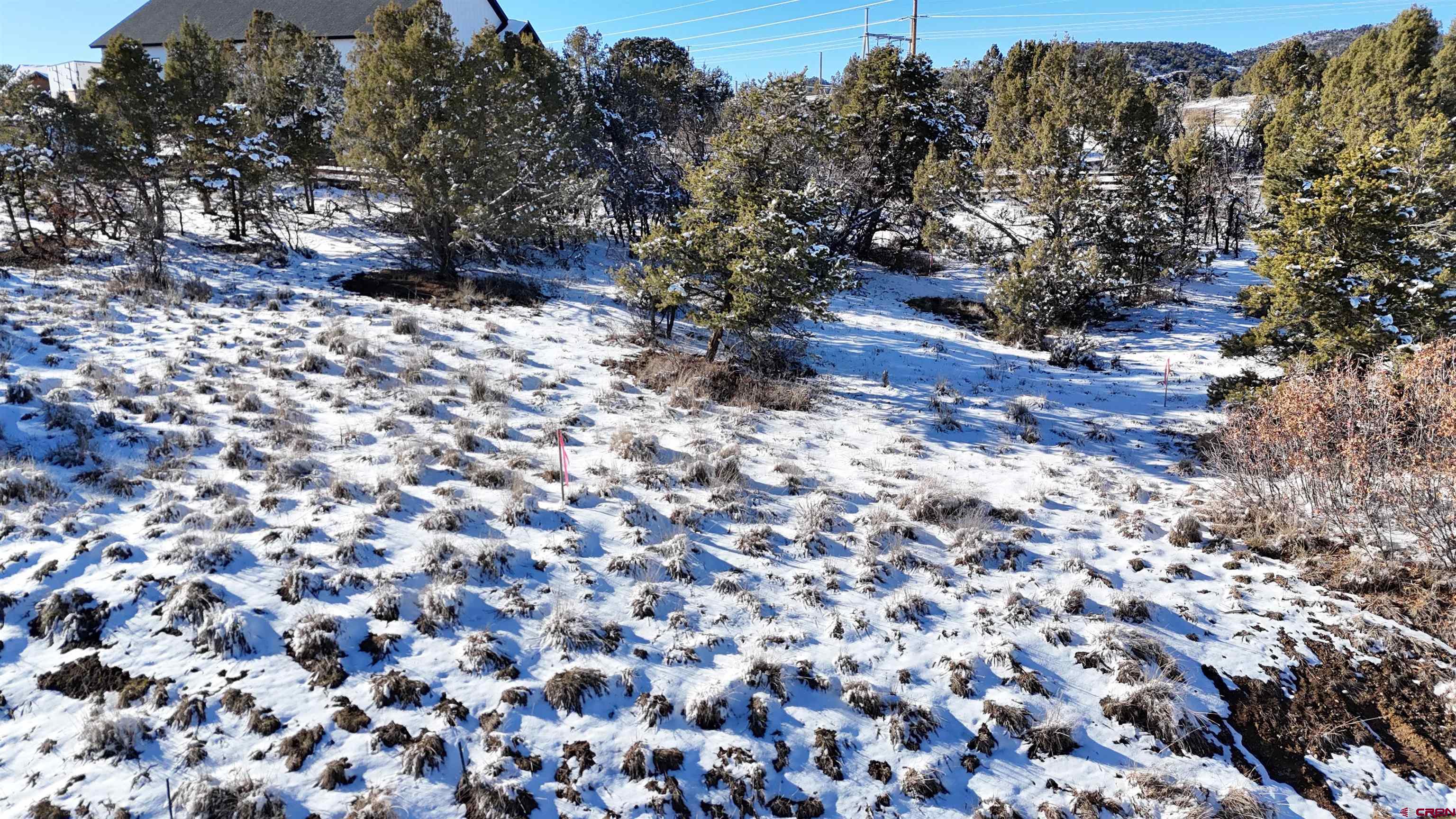63 Salt Brush Street Durango, CO 81301 - Photo 11 of 25